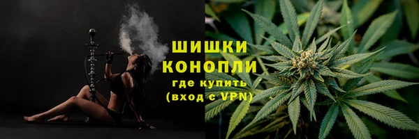 гидропоника Новодвинск