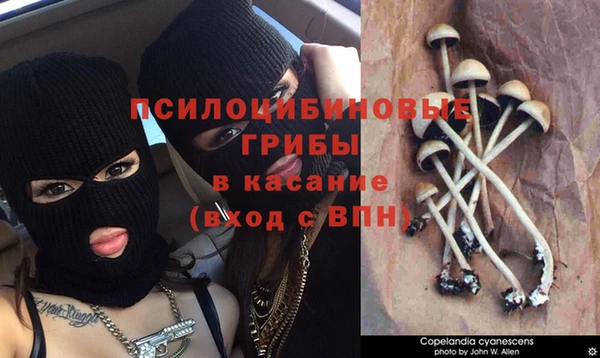 кристаллы Ахтубинск
