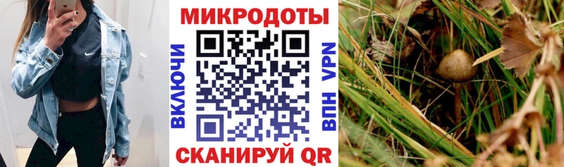 Галлюциногенные грибы мухоморы  купить  сайты  Иноземцево 
